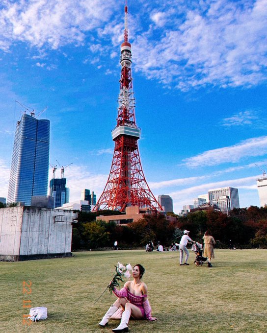 東京タワー｜媒体3