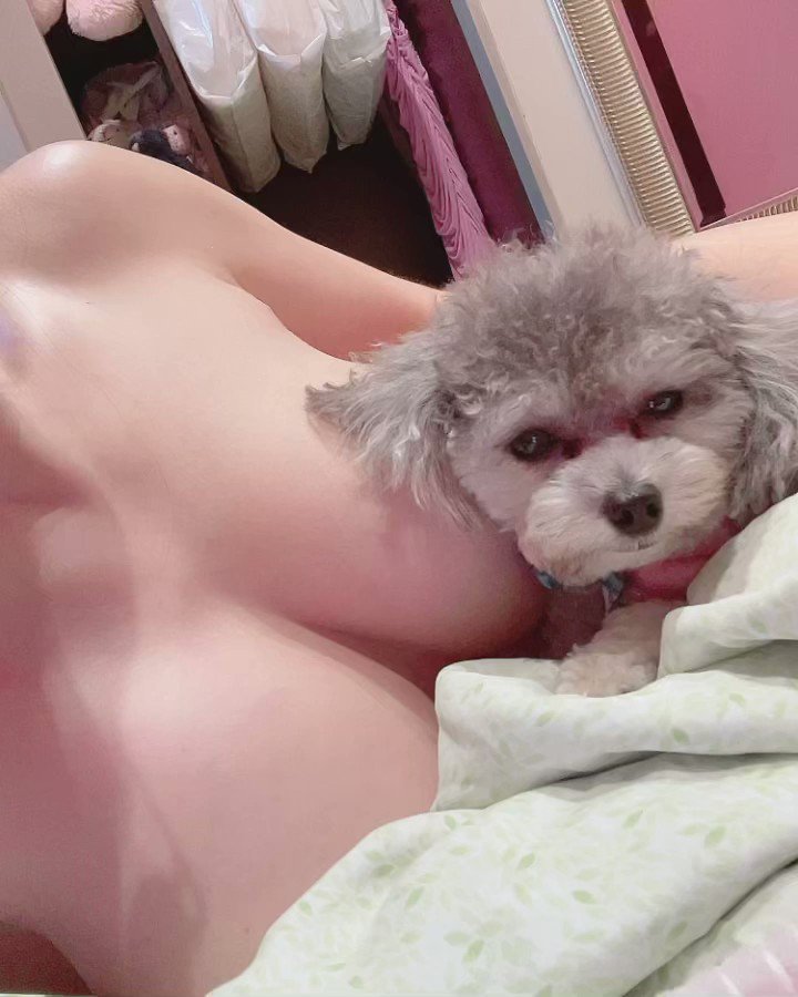 辛尤里 X 动态媒体 1