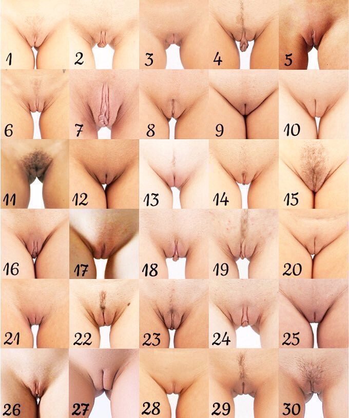 猜猜我是幾號 有支持onlyfans的你，一定知道｜媒体1