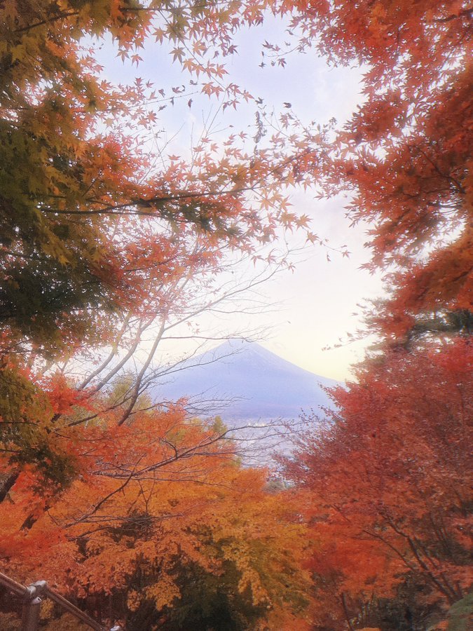 Japan｜媒体3