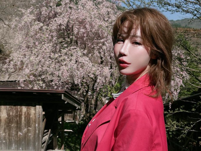 桜｜媒体1