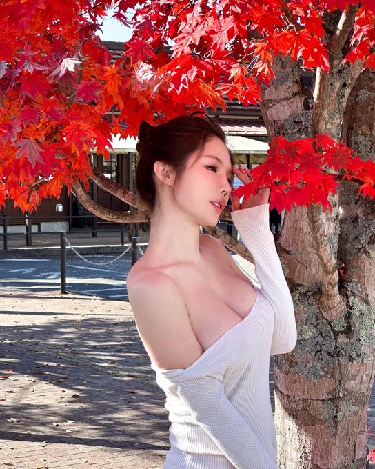 Japan｜媒体1