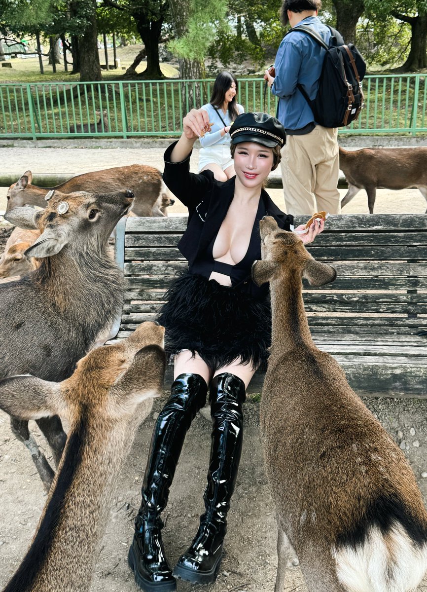 My dear deers #nara #japan｜媒体1